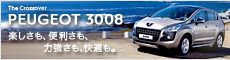 3008_hub_banner.jpg