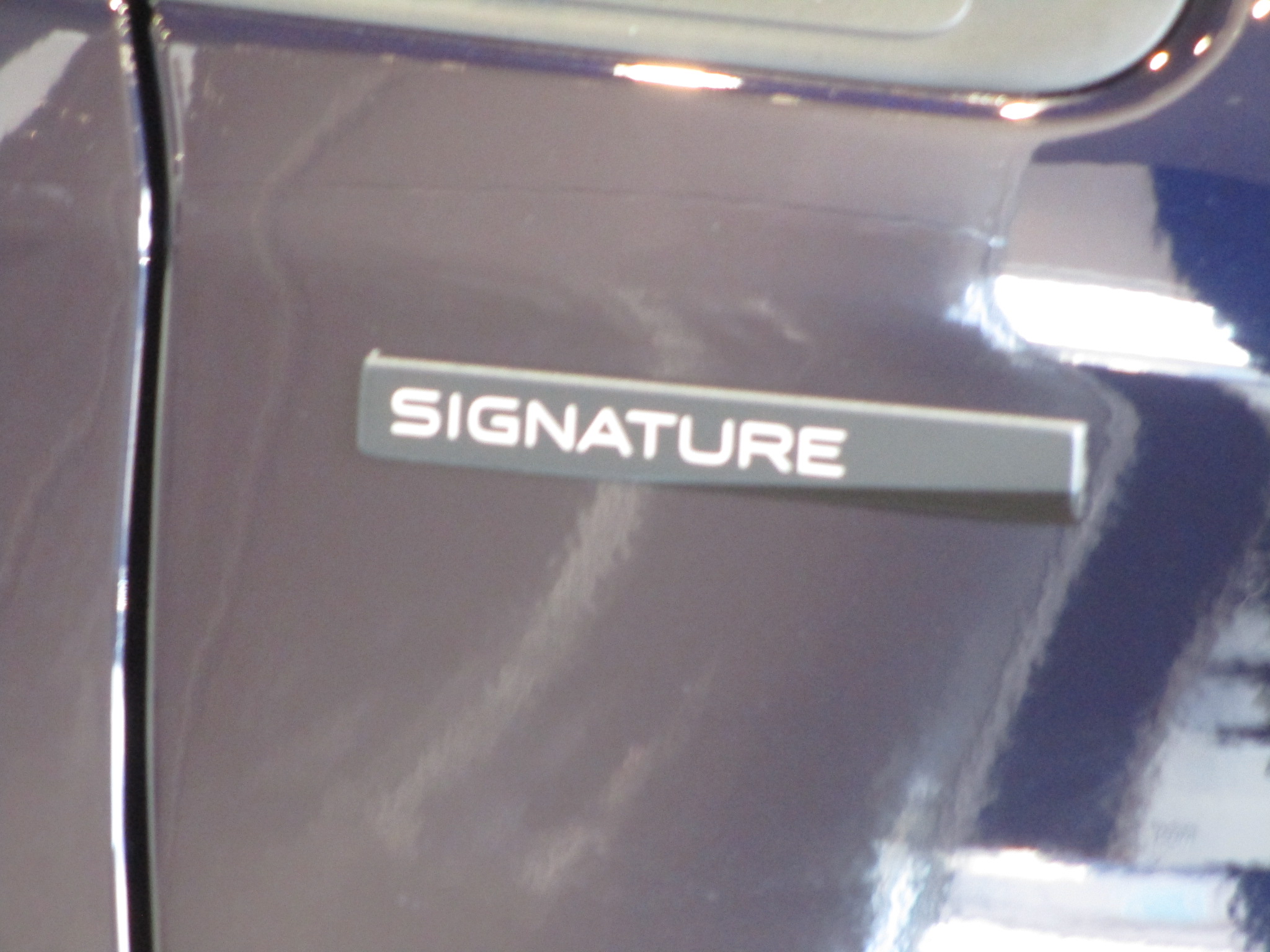 208 SIGNATURE入荷しました。