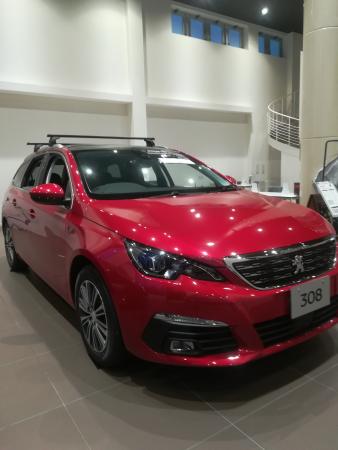 オプションですっ