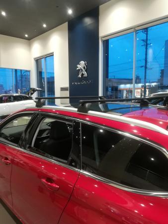 オプションですっ