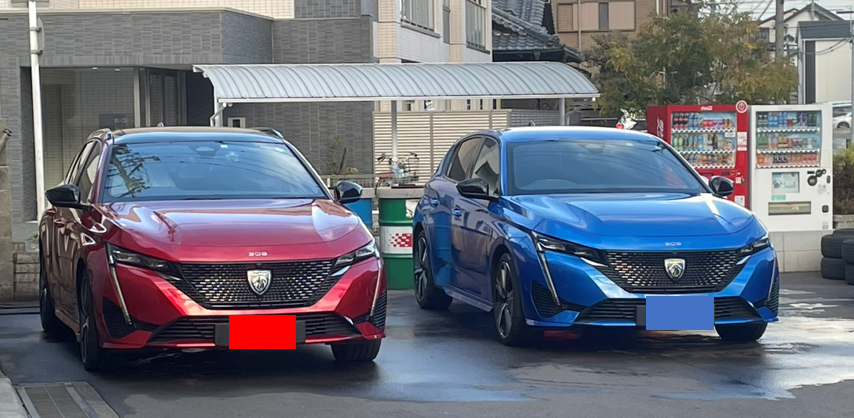 NEW308　レッド＆ブルー