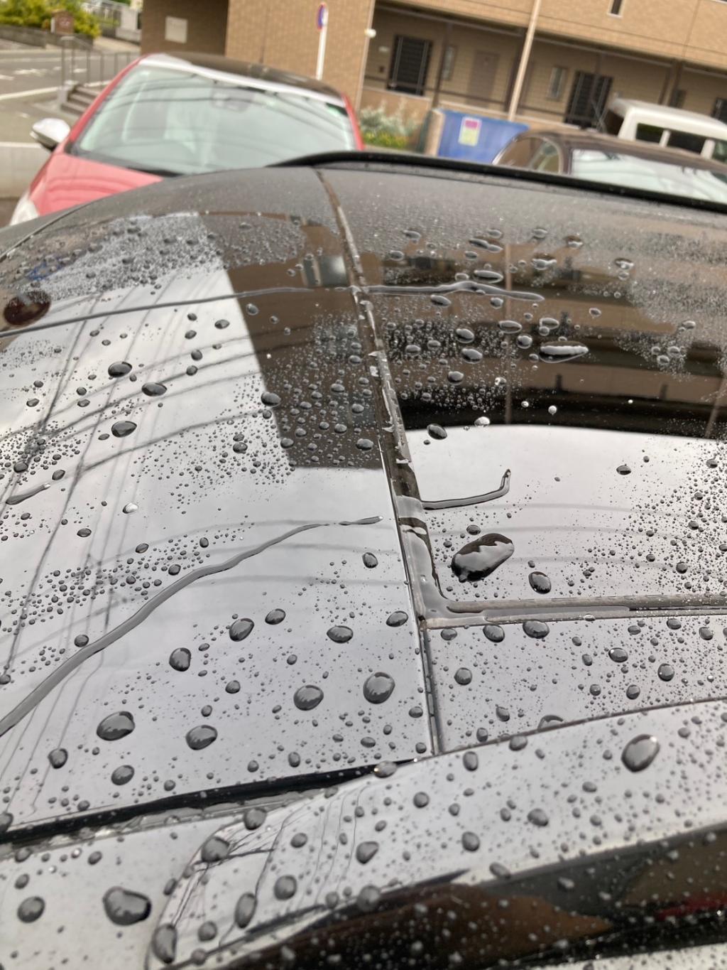 雨を楽しみましょう！