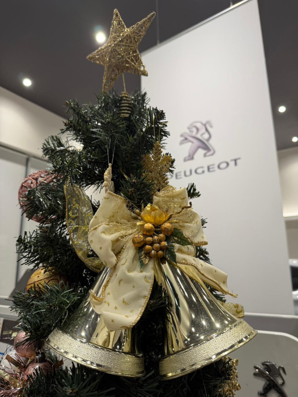 クリスマス仕様になりました🎄