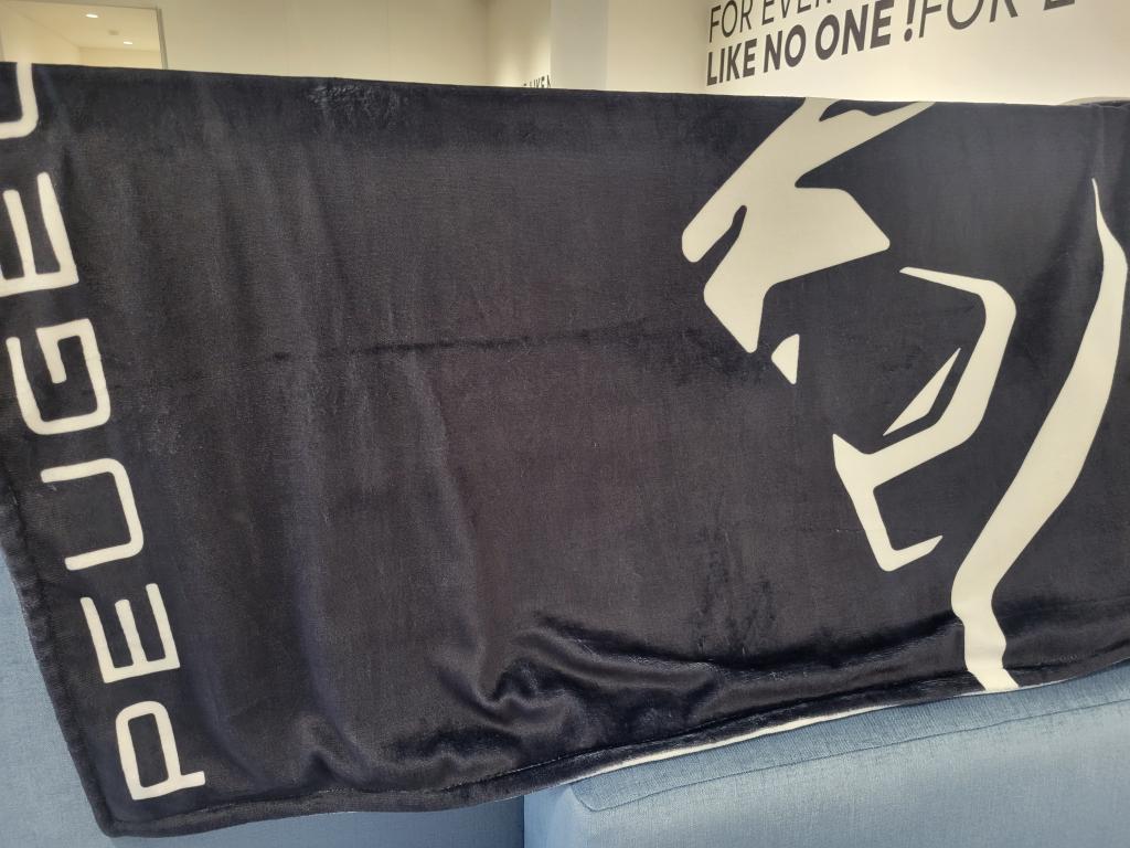 バッテリー交換キャンペーン🦁