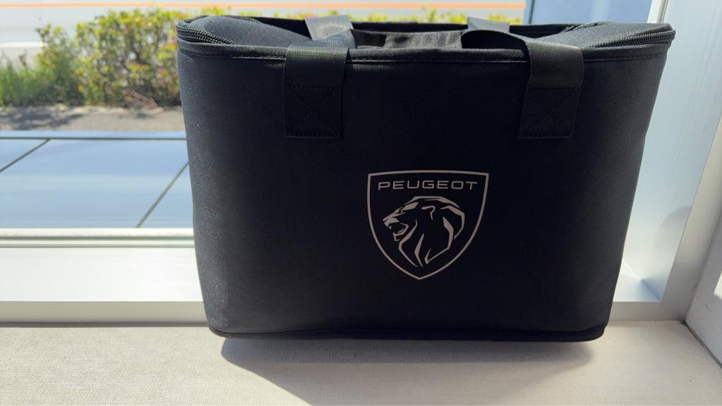 はじめまして🐠