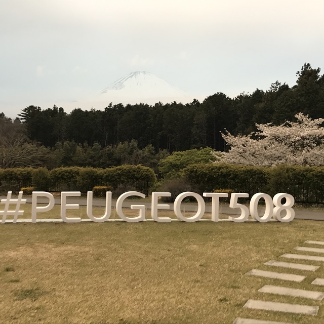 New508トレーニング